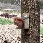 Du - Le En Pleine Nature