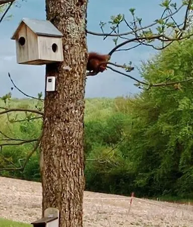 Du - Le En Pleine Nature Landhuis Seuzey