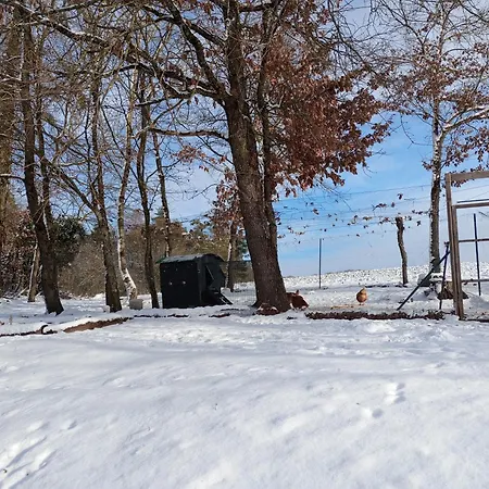 Du - Le En Pleine Nature 乡村民宿 Seuzey