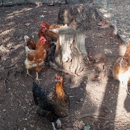 Du - Le En Pleine Nature *