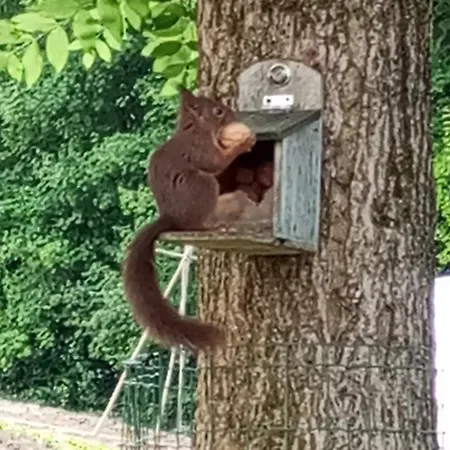 Du - Le En Pleine Nature Seuzey