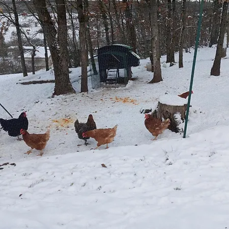Du - Le En Pleine Nature