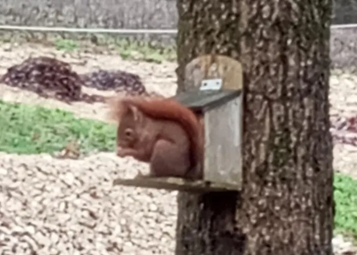 Du - Le En Pleine Nature